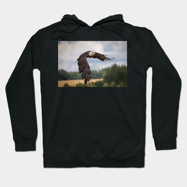 Bald Eagle Hoodie by kawaii_shop